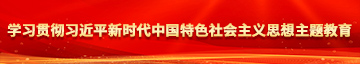 看欧美操逼学习贯彻习近平新时代中国特色社会主义思想主题教育